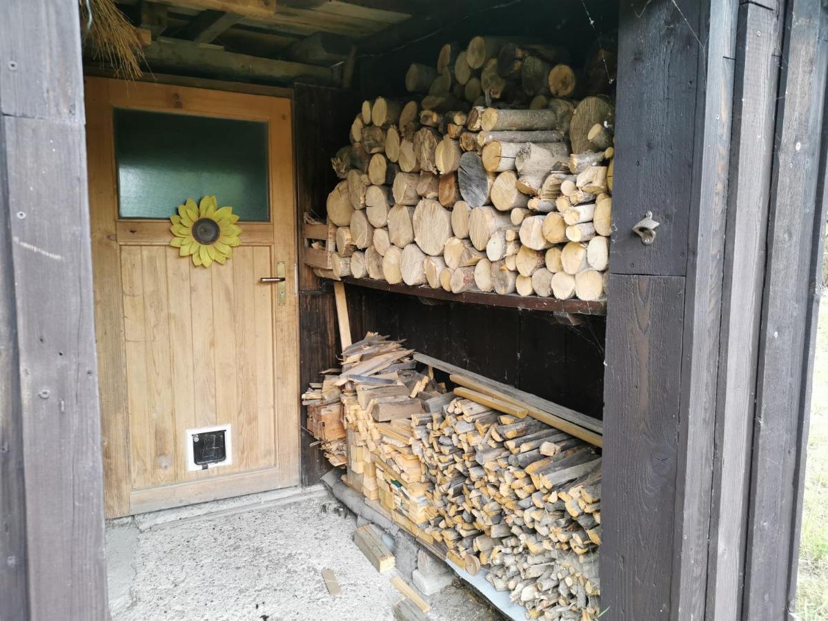 Ferienhaus Natur Pur Apartman Thale Kültér fotó