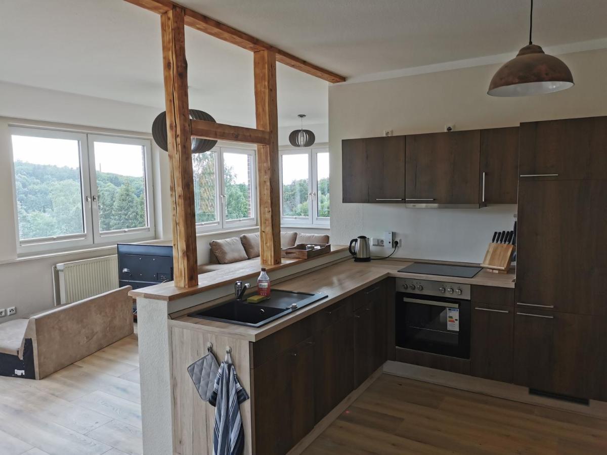 Ferienhaus Natur Pur Apartman Thale Kültér fotó